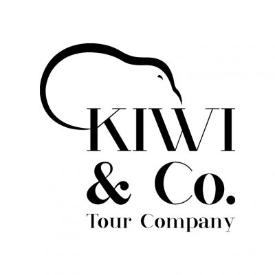 Branding logo design